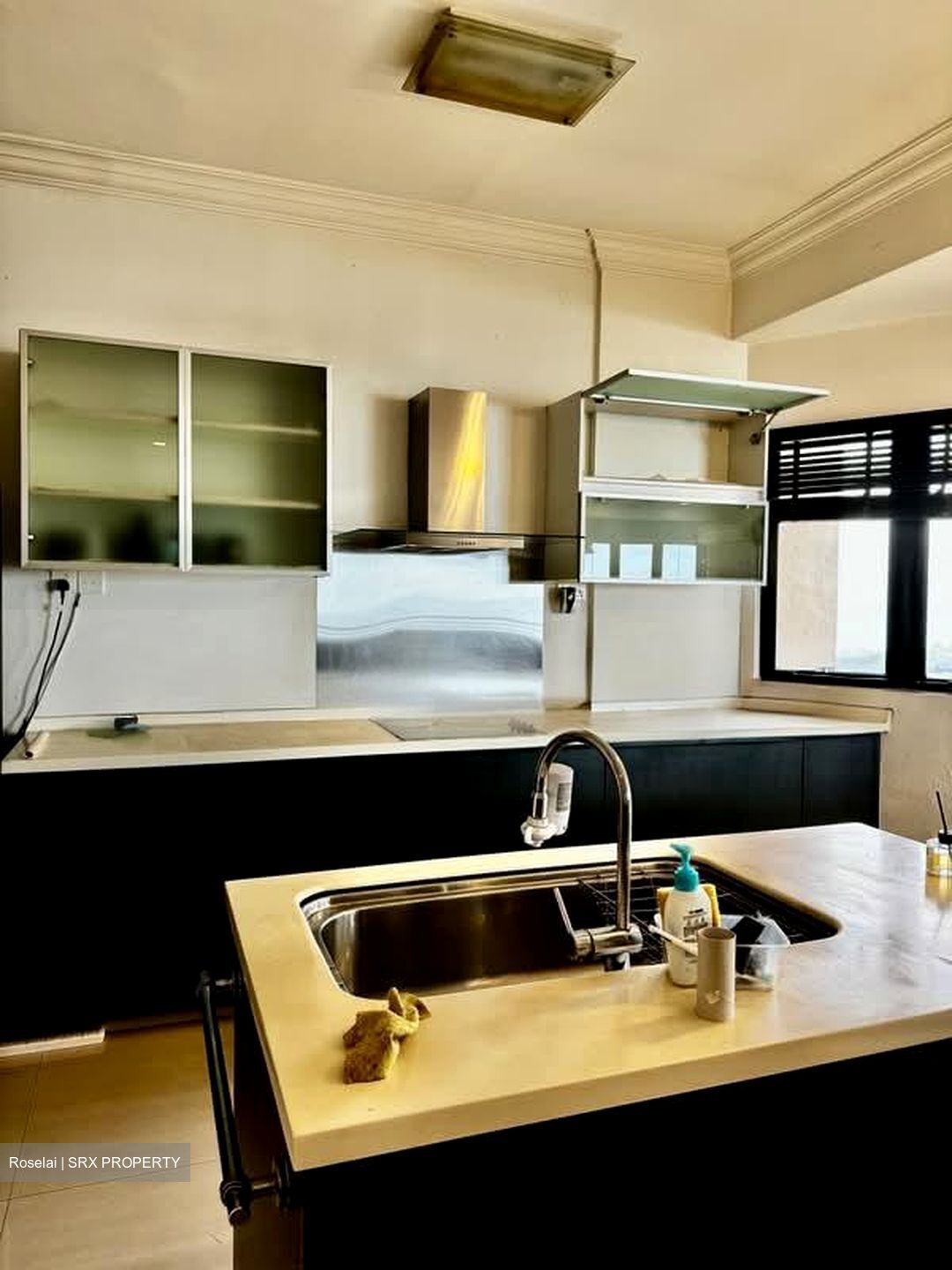 Bayshore Park (D16), Condominium #566398141